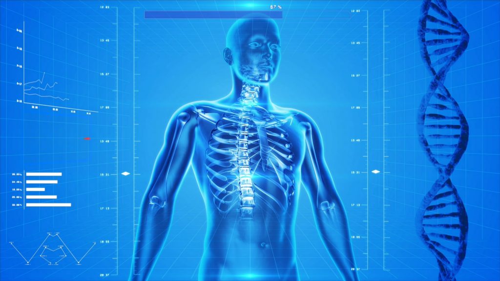 Corp uman intr-o structura cu ADN observandu-se clar coloana vertebrala 